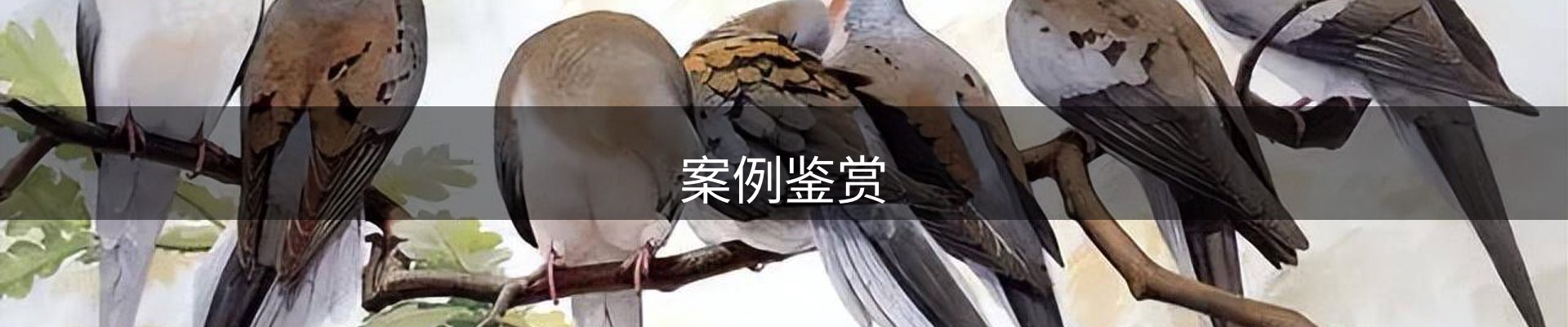 案例鉴赏
